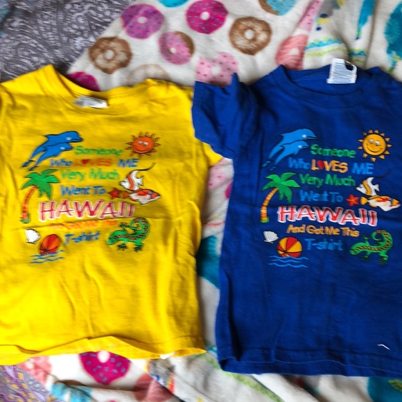 Other - FREE with any purchase Set of Hawaii souvenir shirts